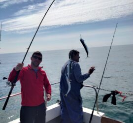 Mackerel fishing trip