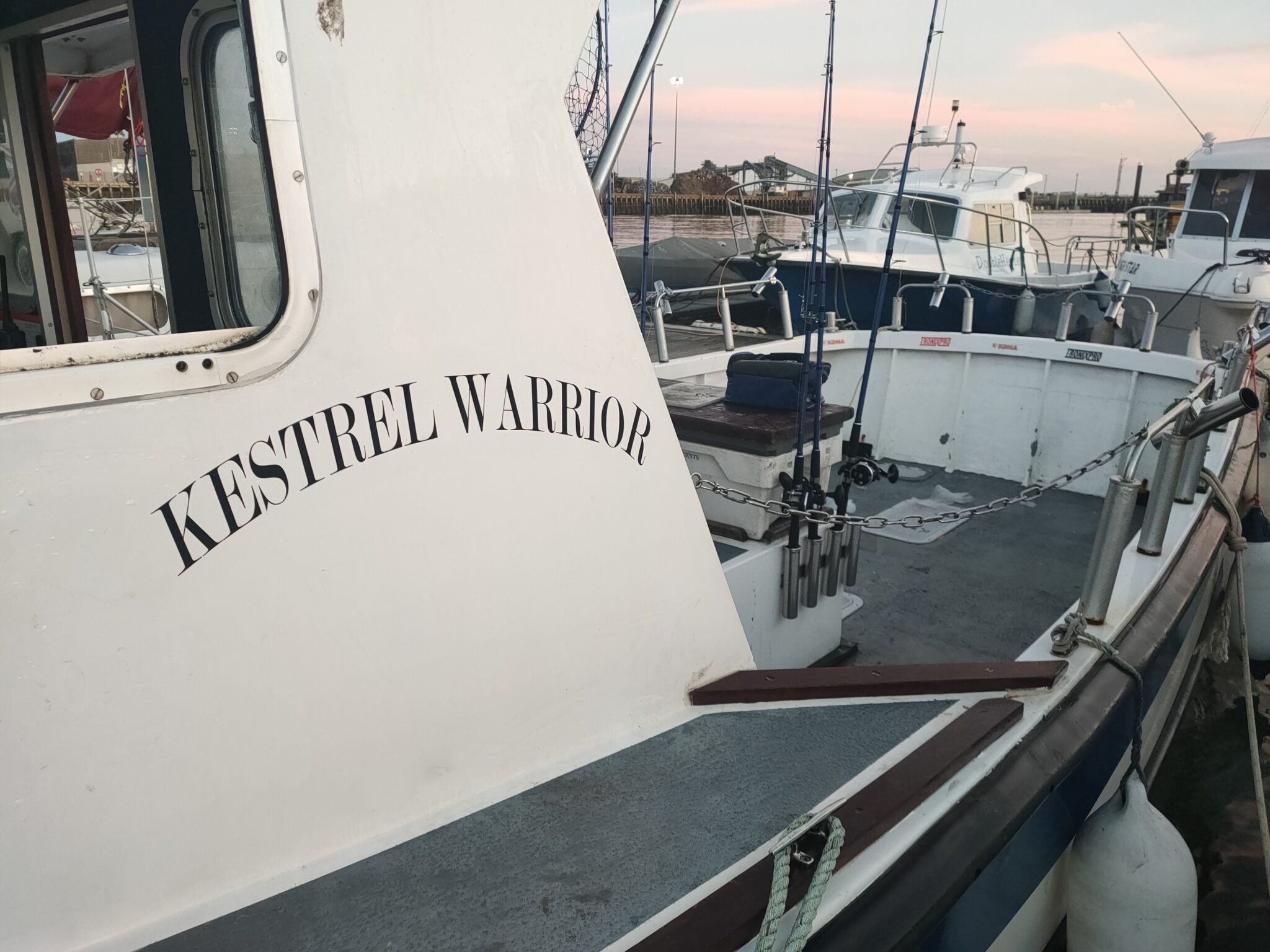 mackerel fishing trips brighton