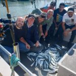 Mackerel fishing trip