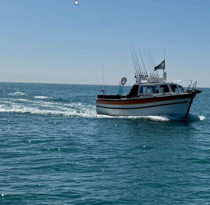 Summer Mackerel fishing Summer Mackerel fishing