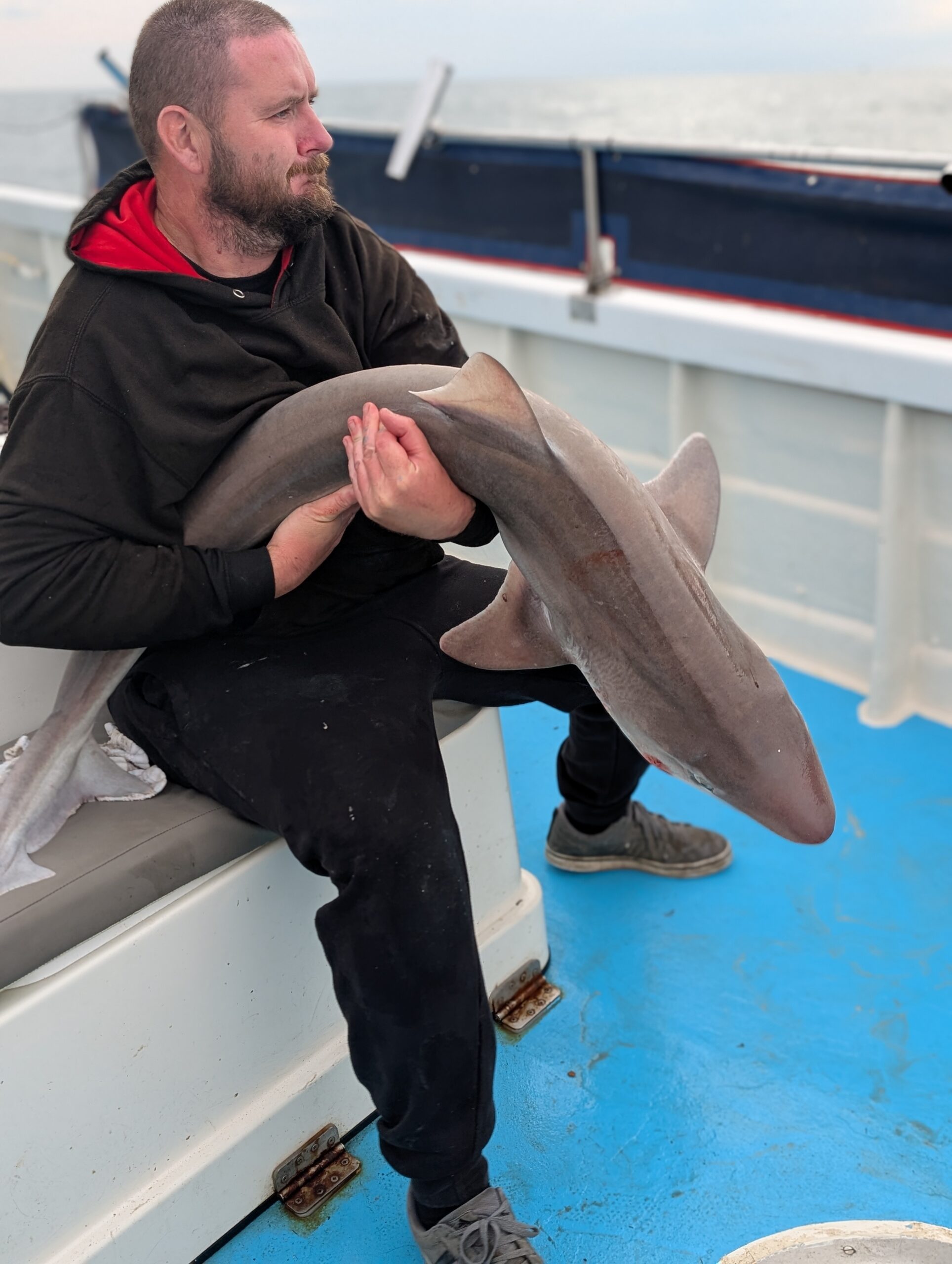 tope fishing Brighton